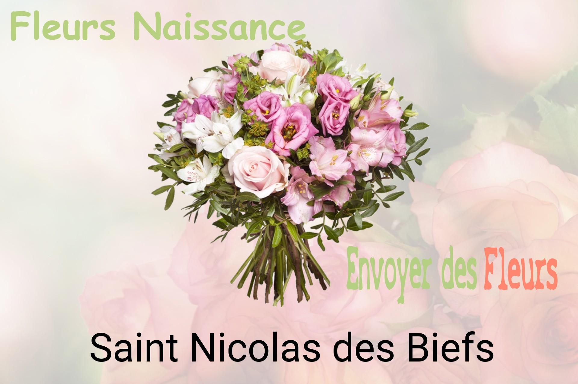 Bouquet de fleurs de naissance livré à Saint-Nicolas-des-Biefs